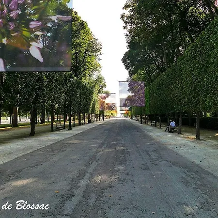 Les Jardins Du Clain Appartement